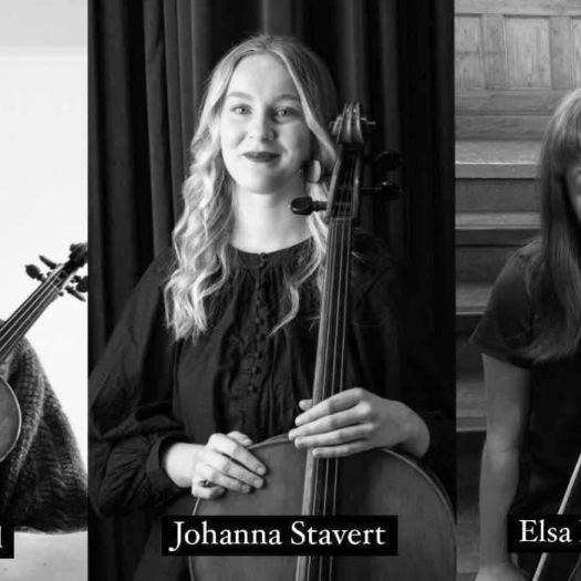 alt="Trio Swedan strygerkoncert på Damms Gård - den 3. juli 2025"